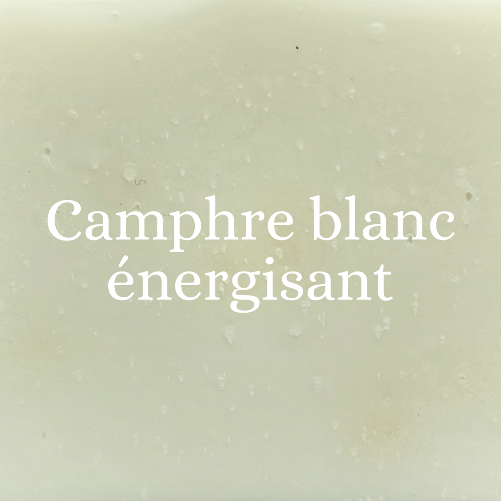 Détail de la texture lisse et légèrement marbrée du savon naturel surgras bio au Camphre blanc, avec ses nuances de blanc cassé et de beige